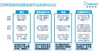 中國互聯(lián)網(wǎng)消費(fèi)金融市場專題研究報(bào)告 金融信息服務(wù)的現(xiàn)狀與前景