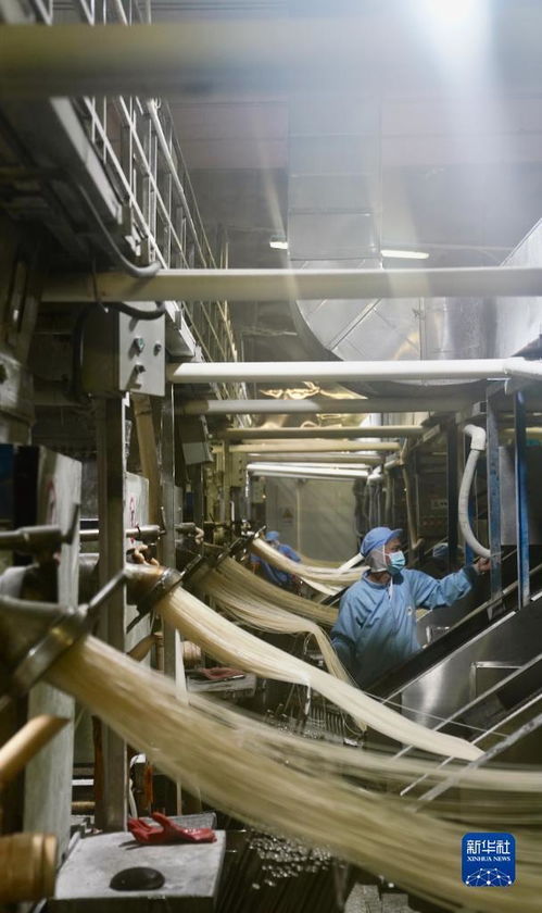 小粉絲走俏海外大市場