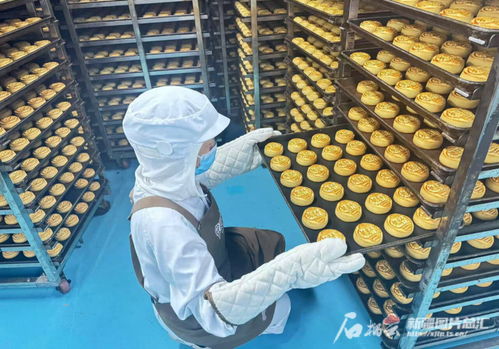 中秋佳節(jié)將至，烏魯木齊食品與羽絨制品企業(yè)雙線并進(jìn)迎忙季